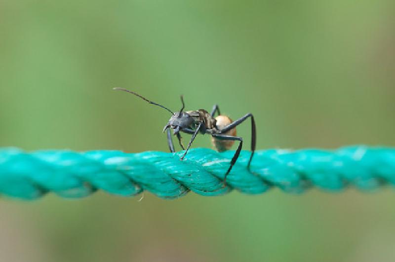 Walking the rope