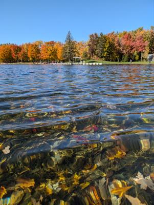 Beaver Lake, Montreal